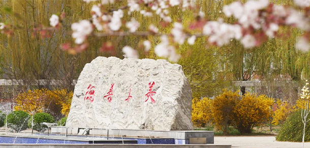 2022年招生分數(shù)
