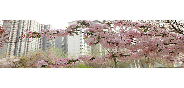 我的大學(xué)-大學(xué)志