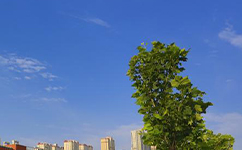 招生公告 · 招生簡(jiǎn)章 · 招生計(jì)劃