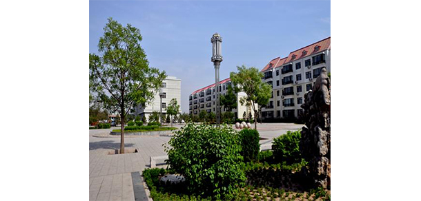 我的大學(xué)-大學(xué)志