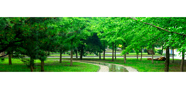 我的大學(xué)-大學(xué)志