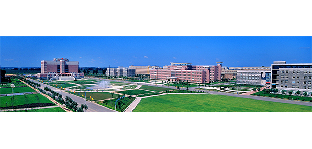 我的大學(xué)-大學(xué)志