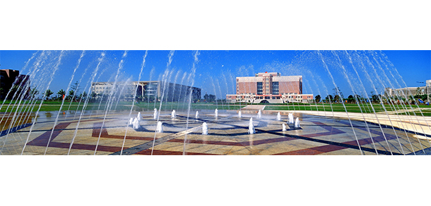我的大學(xué)-大學(xué)志