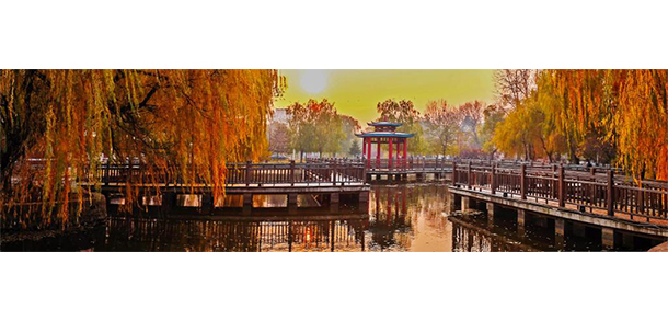 我的大學(xué)-大學(xué)志