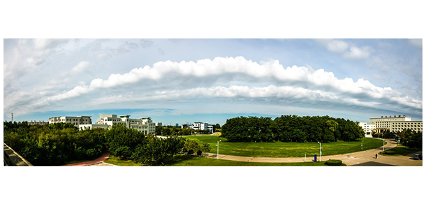 我的大學(xué)-大學(xué)志