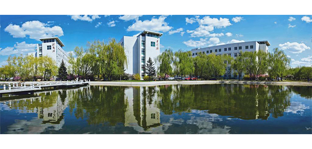 我的大學(xué)-大學(xué)志