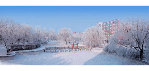 我的大學(xué)-大學(xué)志