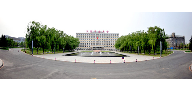我的大學(xué)-大學(xué)志