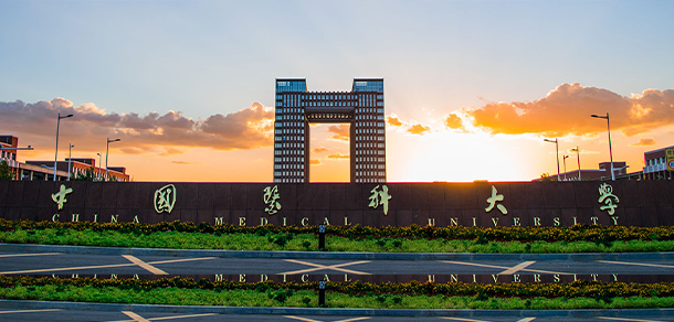 大學(xué)校志：校名、校標(biāo)、校訓(xùn)、校徽、校旗、校歌