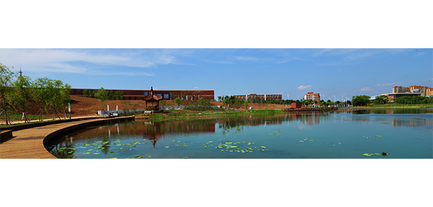 我的大學(xué)-大學(xué)志