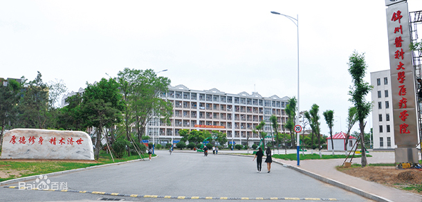 我的大學(xué)-大學(xué)志