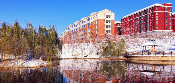 我的大學(xué)-大學(xué)志