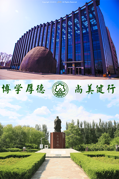 歲月流金 · 青春不散場