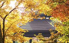文化標(biāo)識：校名題寫 / ?；赵O(shè)計(jì)