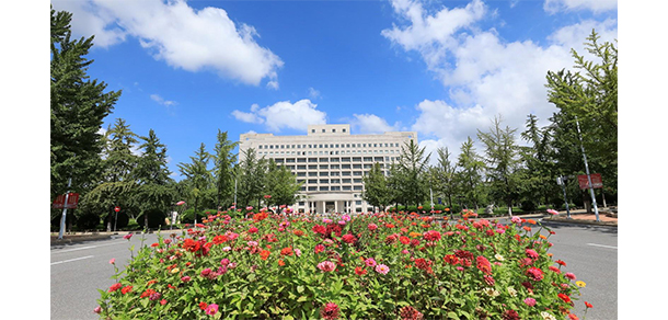 我的大學(xué)-大學(xué)志