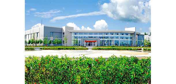我的大學(xué)-大學(xué)志