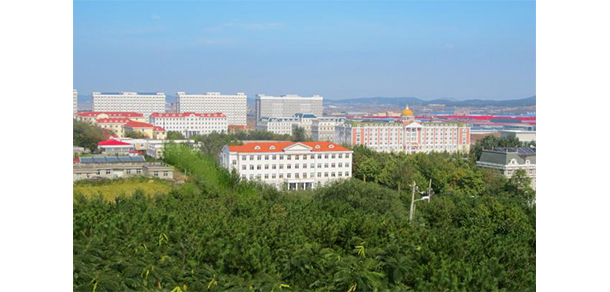 我的大學-大學志