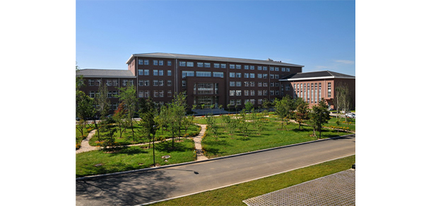 我的大學(xué)-大學(xué)志