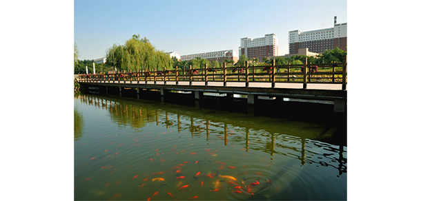我的大學(xué)-大學(xué)志