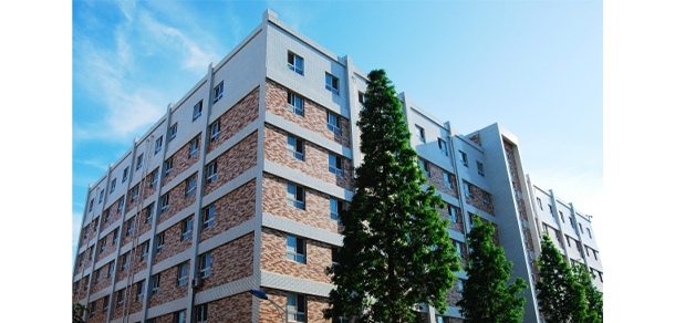 我的大學(xué)-大學(xué)志