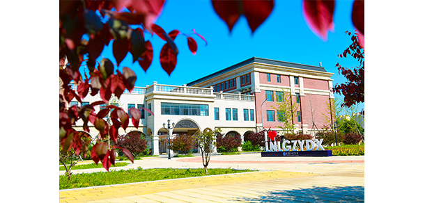 我的大學-大學志