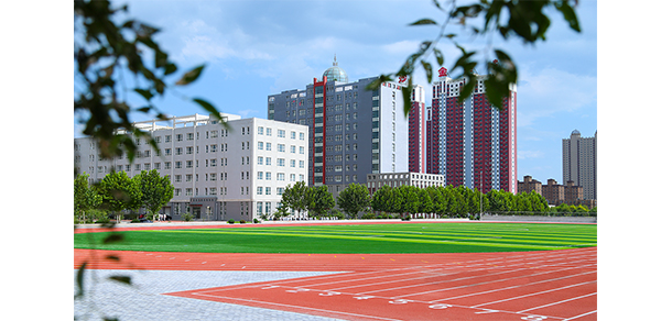 我的大學-大學志