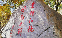 文化標(biāo)識(shí)：校名題寫(xiě) / ?；赵O(shè)計(jì)