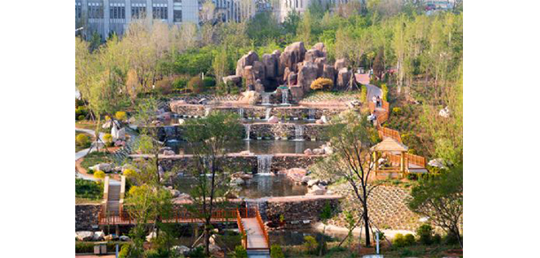 我的大學(xué)-大學(xué)志