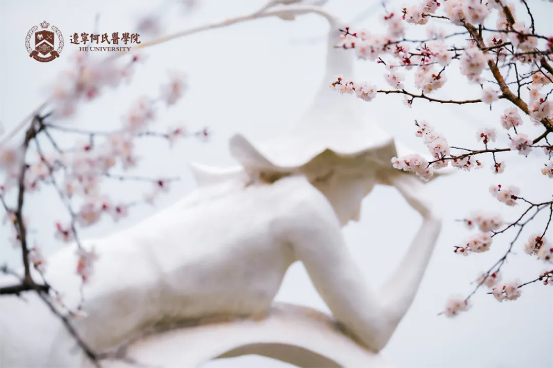花事正盛，何氏的春天“鏡”這么美！
