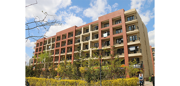 我的大學(xué)-大學(xué)志