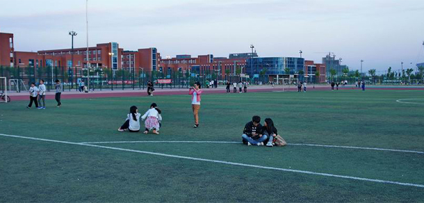 我的大學(xué)-大學(xué)志