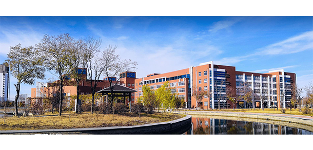 我的大學(xué)-大學(xué)志