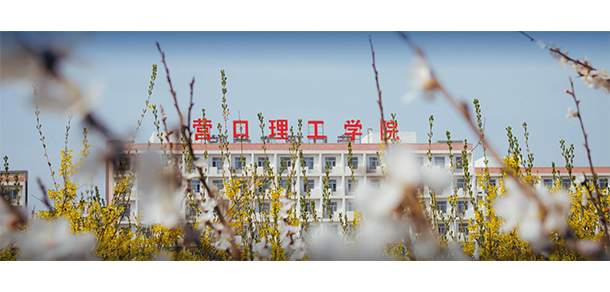 我的大學(xué)-大學(xué)志