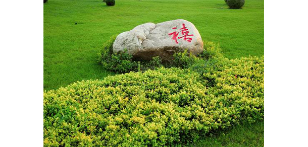 我的大學-大學志