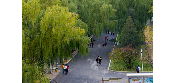我的大學(xué)-大學(xué)志