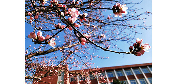 我的大學(xué)-大學(xué)志