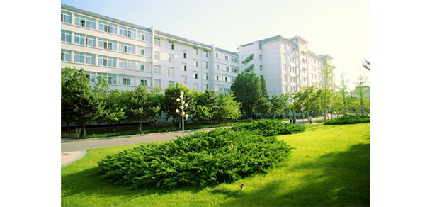 我的大學(xué)-大學(xué)志