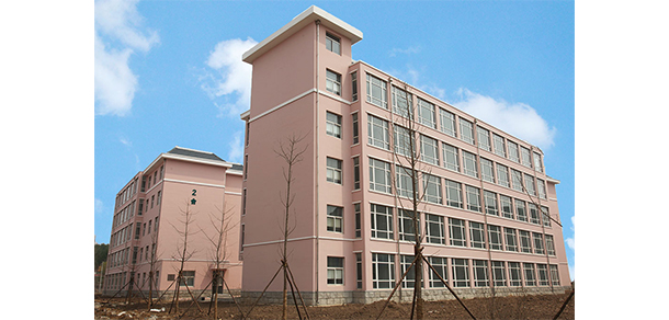 我的大學(xué)-大學(xué)志