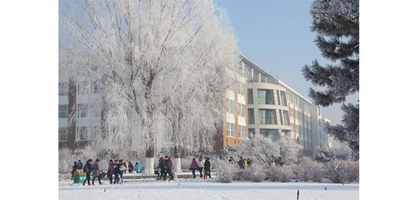 我的大學-大學志