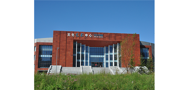 我的大學(xué)-大學(xué)志