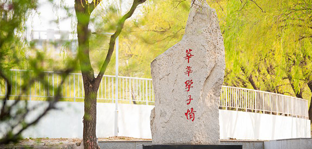 2022年招生分數(shù)