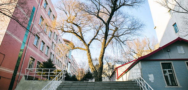 東北林業(yè)大學