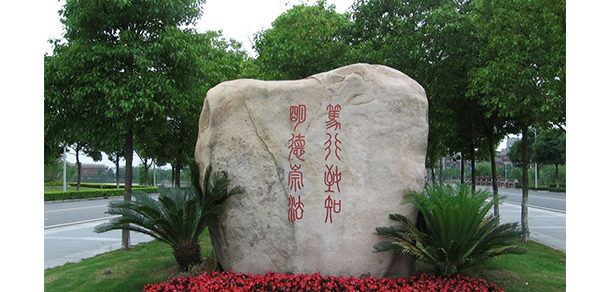 我的大學(xué)-大學(xué)志