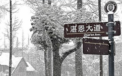 文化標(biāo)識：校名題寫 / ?；赵O(shè)計(jì)
