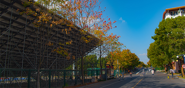 我的大學(xué)-大學(xué)志